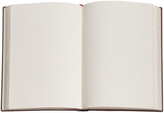 Olive Fairy Midi Lined Hardcover Journal, 144pg, 120GSM by Paperblanks (Lang's Fairy Books)