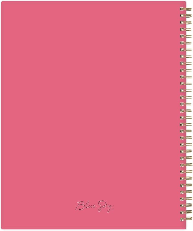 Blue Sky 2023-2024 Academic Year Weekly and Monthly Planner, 8.5" x 11", Frosted Flexible Cover, Wirebound, Roosevelt Pink (144716)