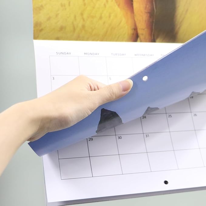 2025 Funny Nature's Dongs Prank Wall Calendar 12 Month Dick Pics Hanging Calendar for Home Office White Elephant Gag Gift for Family Friends Adults Coworkers 8.5" x 11"