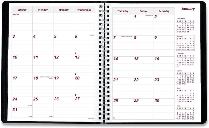 Brownline 2024 Essential Monthly Planner, 14 Months, December 2023 to January 2025, Twin-Wire Binding, 8.875" x 7.125", Black (CB1200.BLK-24)