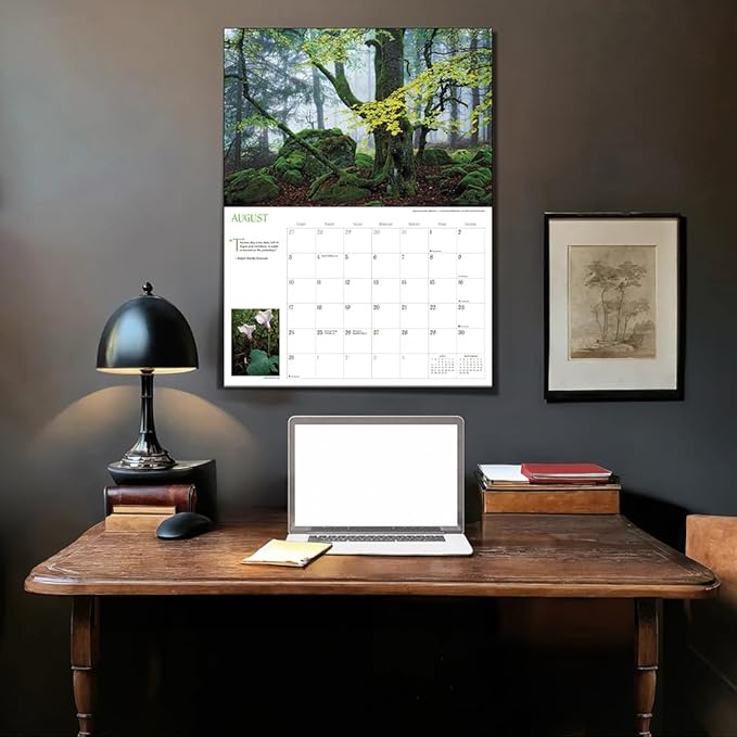 Into the Woods Deluxe Wall Calendar 2025