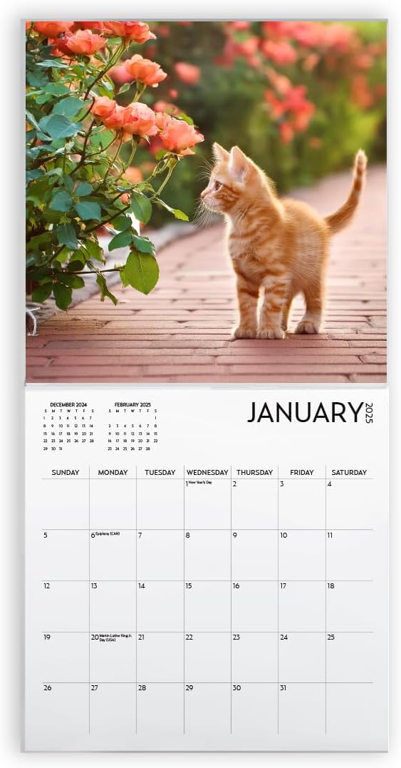 Cats and Flowers Large Wall Calendar with Sticker Pack | 12 x 12 Inches | Awesome Sticker Pack | 2025 Wall Calendar | Christmas Gift (Cats and Flowers)