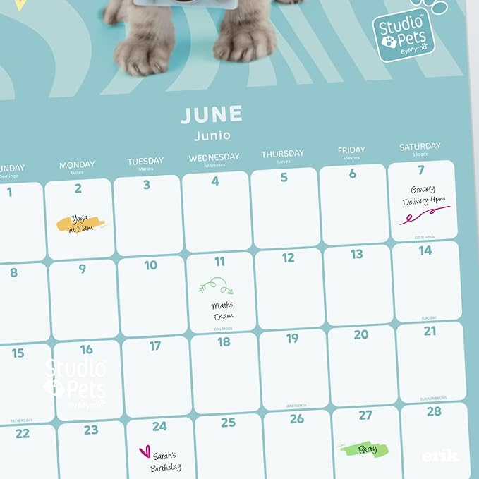 Kittens Wall Calendar 2025 12" x 12" FSC® Plastic Free - Starts Week On Sunday | Square Wall Calendar | Family Planner Calendar 2025 | Cat Calendar 2025