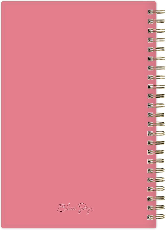 Blue Sky 2024 Weekly and Monthly Planner, January - December, 5" x 8", Frosted Cover, Wirebound, Fly By (140196-24)