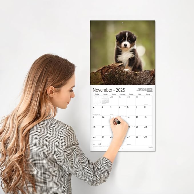 RED EMBER Puppies 2025 Wall Calendar 12 Month | 12" x 24" Open | Thick & Sturdy Paper | Giftable | Calendar 2025