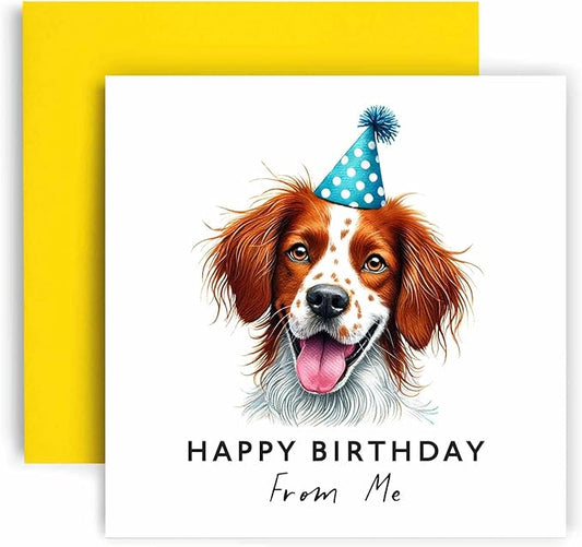 Huxters Birthday Card from the Dog – Brittany - Happy Birthday to Dog Mum and Dog Dad – Birthday Card from the Dog to Friends Family First Birthday (Brittany)