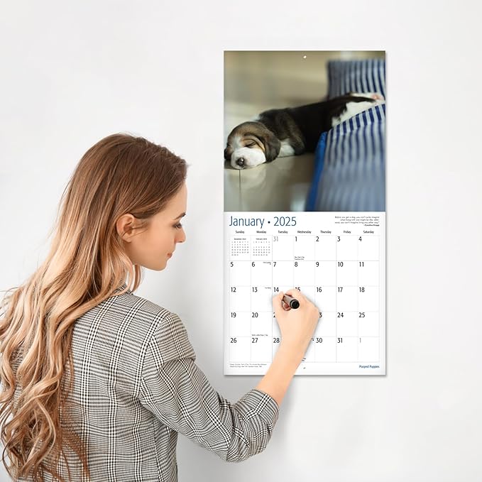 RED EMBER Pooped Puppies 2025 Wall Calendar 12 Month | 12" x 24" Open | Thick & Sturdy Paper | Giftable | Calendar 2025