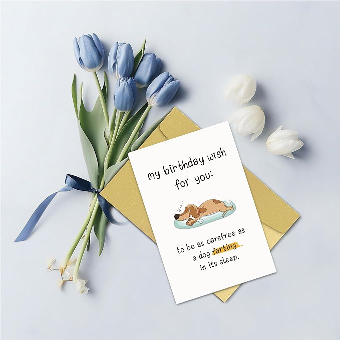 Funny Birthday Card for Him/Her, Humor Birthday Card for Family Friends, Bday Card for Sister Brother, My Birthday Wish For You To Be As Carefree As A Dog Farting In Its Sleep