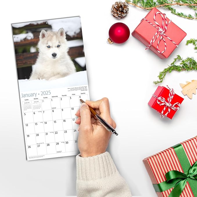 RED EMBER Siberian Husky Puppies Mini 2025 Wall Calendar 12 Month | 7" x 14" Open | Thick & Sturdy Paper | Giftable | Calendar 2025