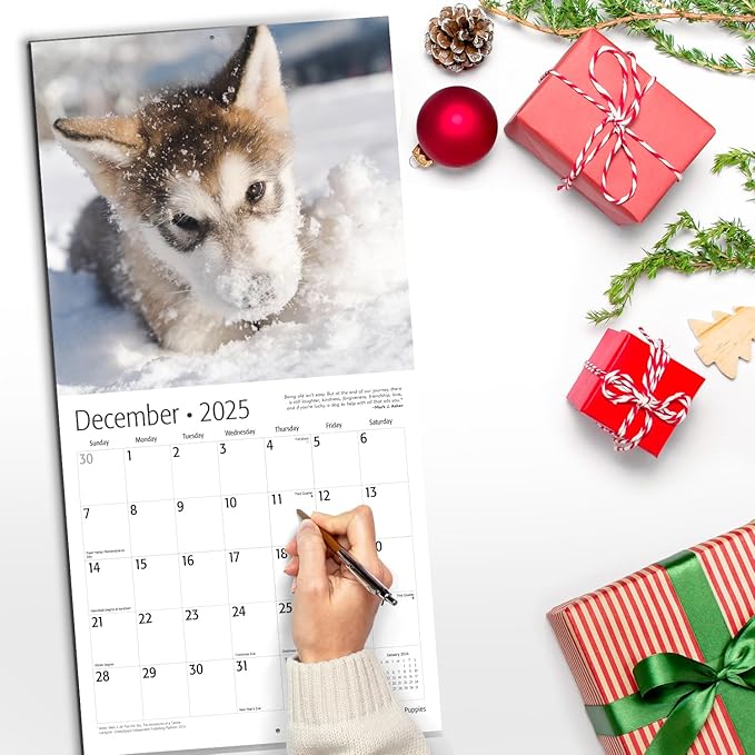 RED EMBER Puppies 2025 Wall Calendar 12 Month | 12" x 24" Open | Thick & Sturdy Paper | Giftable | Calendar 2025