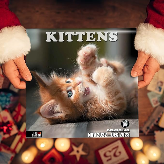 RED EMBER Kittens! 2023 Hangable Monthly Wall Calendar | 12" x 24" Open | Thick & Sturdy Paper | Giftable | Kids Cute Kitten Cat | Cuteness Overload