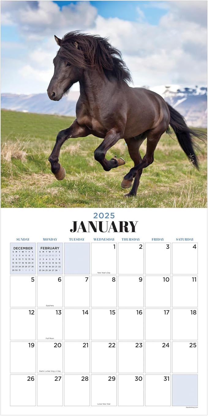 TF PUBLISHING 2025 Horses Wall Calendar Case of 48 - Large Grids for Appointments and Scheduling - Vertical Monthly Wall Calendar 2025 - Home and Office Organization - Premium Gloss Paper - 12"x12”