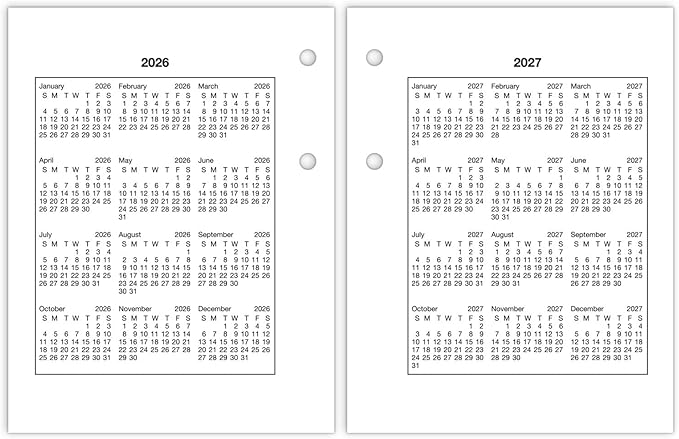 AT-A-GLANCE 2025 Desk Calendar Refill, Daily, 3" x 3-3/4", Mini, Loose-Leaf (E9195025)