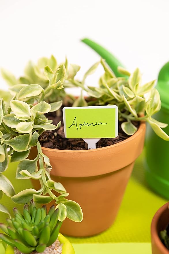 Astrobrights Mega Collection, Colored Paper, Neon Green, 625 Sheets, 24 lb/89 gsm, 8.5" x 11" - MORE SHEETS! (91672)