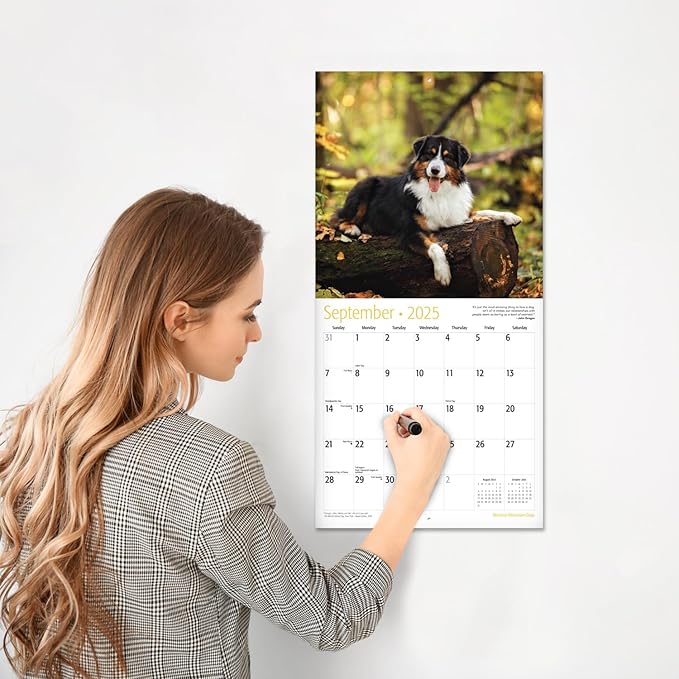RED EMBER Bernese Mountain Dogs 2025 Wall Calendar 12 Month | 12" x 24" Open | Thick & Sturdy Paper | Giftable | Calendar 2025