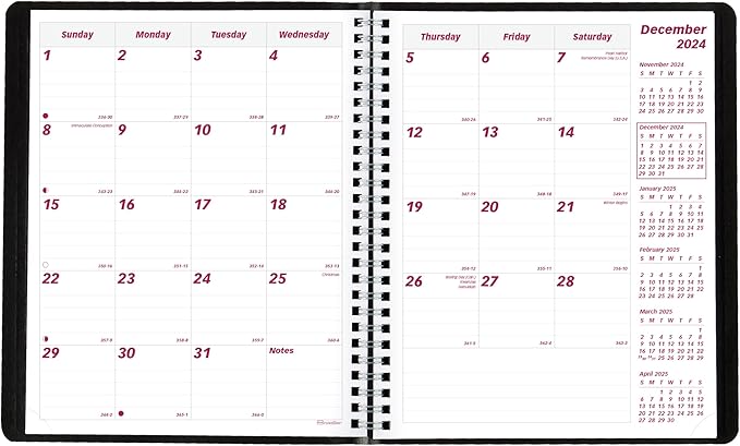 Brownline® 2025 Essential Monthly Planner, 14 Months, December 2024 to January 2026, Twin-Wire Binding, 8.875" x 7.125", Black (CB1200.BLK-25)