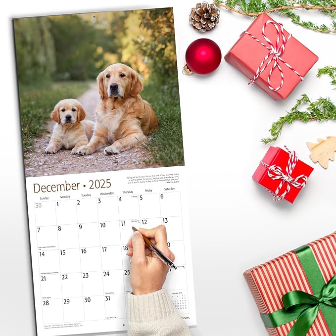 RED EMBER Golden Retrievers 2025 Wall Calendar 12 Month | 12" x 24" Open | Thick & Sturdy Paper | Giftable | Calendar 2025