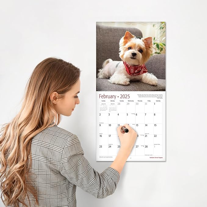 RED EMBER Yorkshire Terrier Puppies 2025 Wall Calendar 12 Month | 12" x 24" Open | Thick & Sturdy Paper | Giftable | Calendar 2025