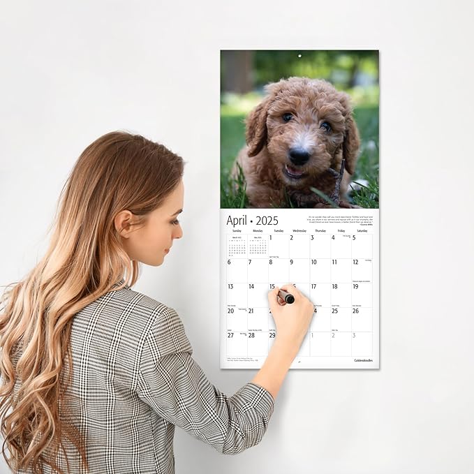 RED EMBER Goldendoodles 2025 Wall Calendar 12 Month | 12" x 24" Open | Thick & Sturdy Paper | Giftable | Calendar 2025