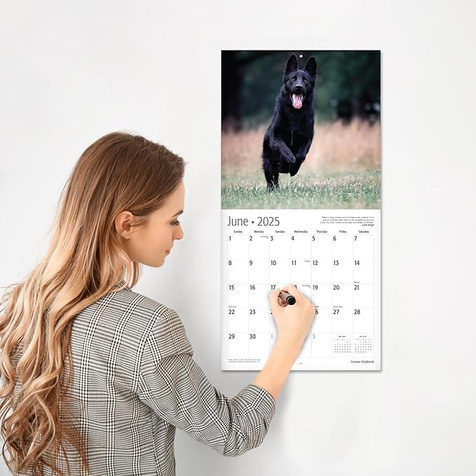 RED EMBER German Shepherds 2025 Wall Calendar 12 Month | 12" x 24" Open | Thick & Sturdy Paper | Giftable | Calendar 2025