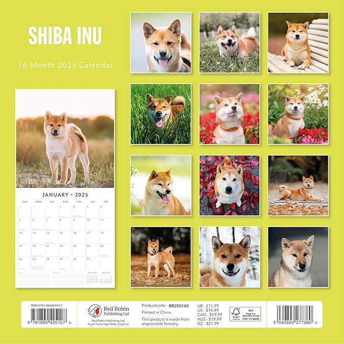 Red Robin 2025 Shiba Inu Monthly Wall Calendar | 12" x 24" Open | Premium Thick & Sturdy Paper | Hangable 12 Month Calendar | Plastic Free | 4 Month Transition Page for 2024