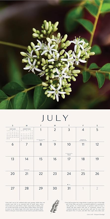 Herb Gardens Calendar 2025 | 12" x 24" Herbal Wall Calendar 12 Month | Marble City Press | Advice for Year Round Growing, Garden and Herbalist Tips Throughout | Super Foods, Home Gardening