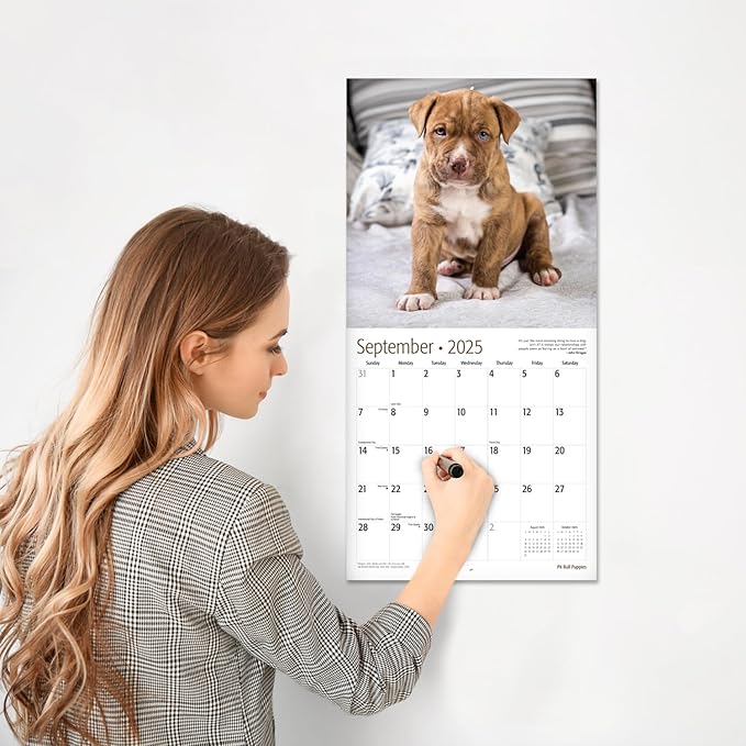 RED EMBER Pit Bull Puppies 2025 Wall Calendar 12 Month | 12" x 24" Open | Thick & Sturdy Paper | Giftable | Calendar 2025