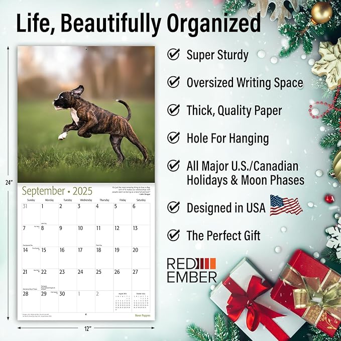 RED EMBER Boxer Puppies 2025 Wall Calendar 12 Month | 12" x 24" Open | Thick & Sturdy Paper | Giftable | Calendar 2025