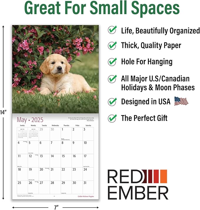 RED EMBER Golden Retriever Puppies Mini 2025 Wall Calendar 12 Month | 7" x 14" Open | Thick & Sturdy Paper | Giftable | Calendar 2025