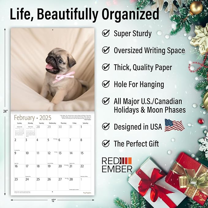 RED EMBER Pug Puppies 2025 Wall Calendar 12 Month | 12" x 24" Open | Thick & Sturdy Paper | Giftable | Calendar 2025