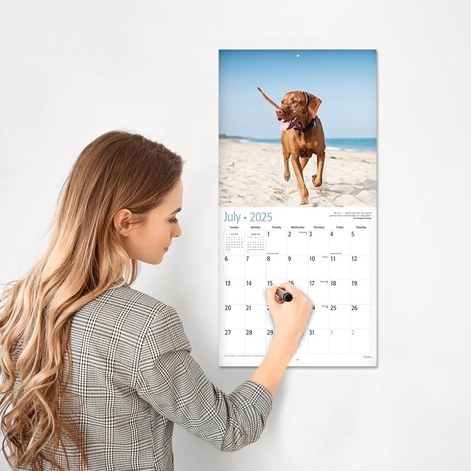 RED EMBER Vizslas 2025 Wall Calendar 12 Month | 12" x 24" Open | Thick & Sturdy Paper | Giftable | Calendar 2025