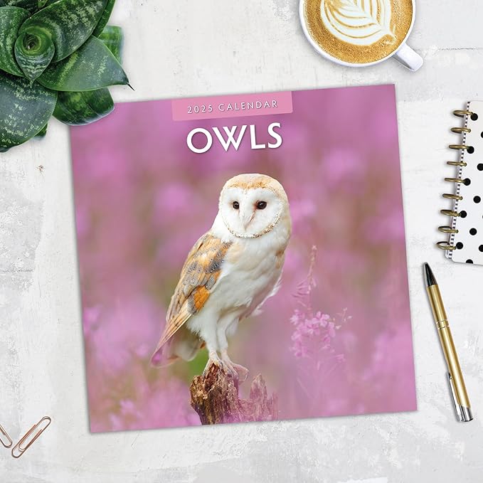 Red Robin 2025 Owls Monthly Wall Calendar | 12" x 24" Open | Premium Thick & Sturdy Paper | Hangable 12 Month Calendar | Plastic Free | 4 Month Transition Page for 2024
