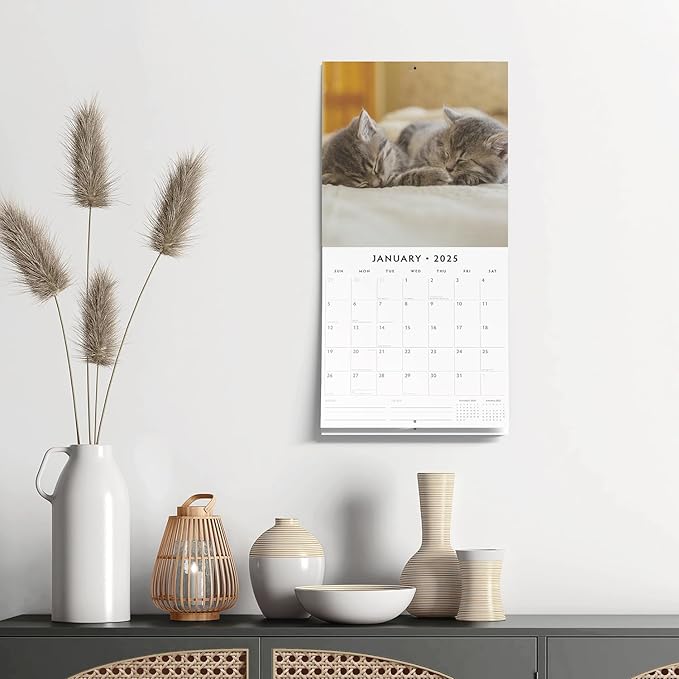 Adorable Cats -2025 Square Wall Calendar - by Red Robin Publishing