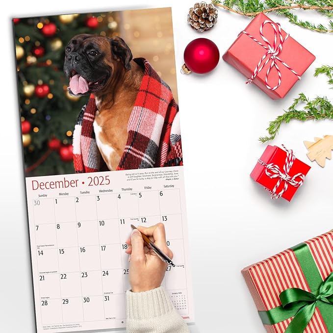 RED EMBER Boxers 2025 Wall Calendar 12 Month | 12" x 24" Open | Thick & Sturdy Paper | Giftable | Calendar 2025