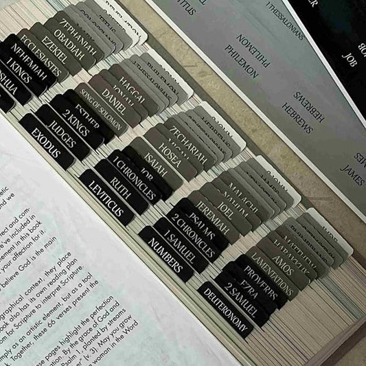 Thinkor Reposition Bible Tabs, Large Print Lanimated Stickers, Easy to Read and Apply Bible Tabs for Women and Man (Gray Green)