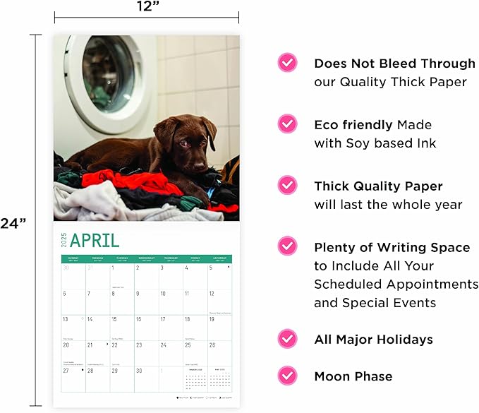 2025 Chocolate Lab Puppies Monthly Wall Calendar by Bright Day, 12 x 12 Inch Cute Dog Breed Gift