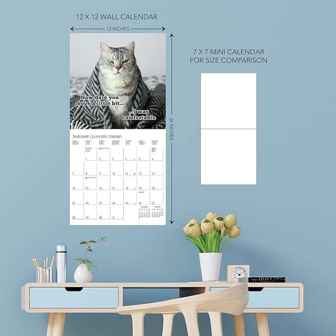 Graphique 2024 Nuthin But Trouble Wall Calendar | 12” x 12” | Thick Paper | Home & Office Organizer | Large Monthly Grid | 3 Languages & Marked Holidays | 4 Month Preview Page for 2025