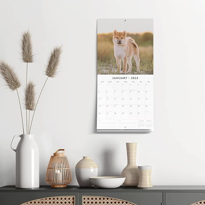 Red Robin 2025 Shiba Inu Monthly Wall Calendar | 12" x 24" Open | Premium Thick & Sturdy Paper | Hangable 12 Month Calendar | Plastic Free | 4 Month Transition Page for 2024