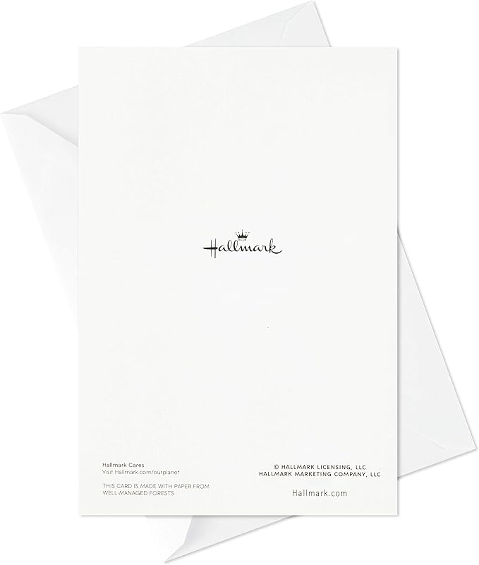 Hallmark Birthday Cards Assortment, 12 Cards with Envelopes (Premium Refill Pack Card Organizer Box)