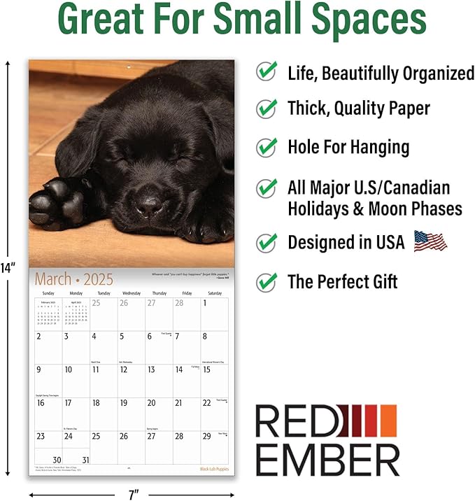 RED EMBER Black Lab Puppies Mini 2025 Wall Calendar 12 Month | 7" x 14" Open | Thick & Sturdy Paper | Giftable | Calendar 2025
