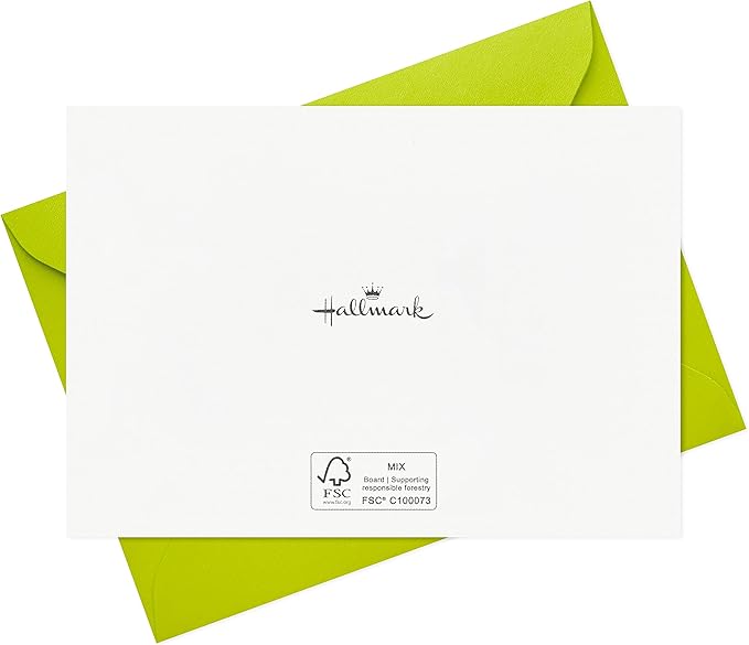 Hallmark Funny Birthday Card Assortment (24 Blank Cards with Envelopes) Food Puns, Dog, Bird, Otters