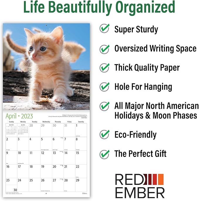 RED EMBER Kittens! 2023 Hangable Monthly Wall Calendar | 12" x 24" Open | Thick & Sturdy Paper | Giftable | Kids Cute Kitten Cat | Cuteness Overload