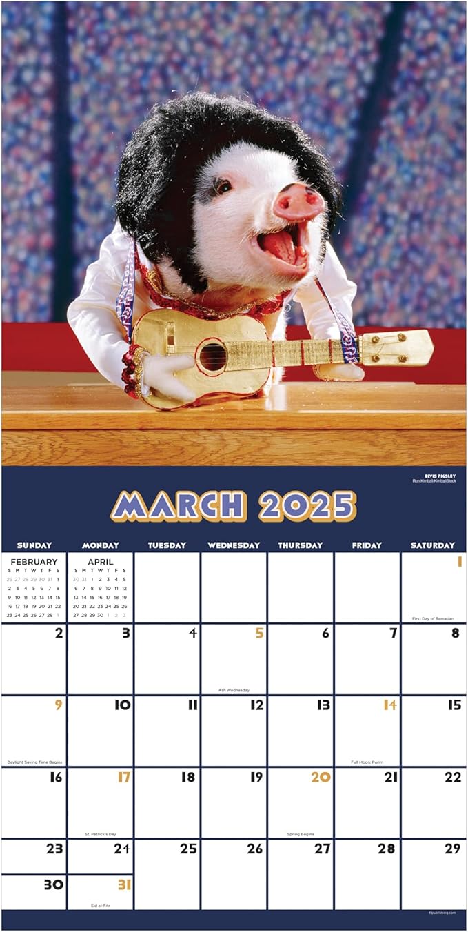 TF PUBLISHING 2025 Playful Pigs Wall Calendar Case of 48 - Large Grids for Appointments and Scheduling - Vertical Monthly Wall Calendar - Home and Office Organization - Premium Gloss Paper - 12"x12”