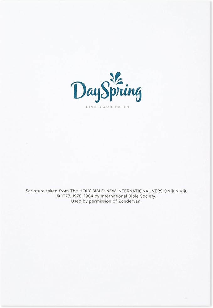 Dayspring Assorted Religious Birthday Cards (Christian Blessings, 12 Cards and Envelopes)