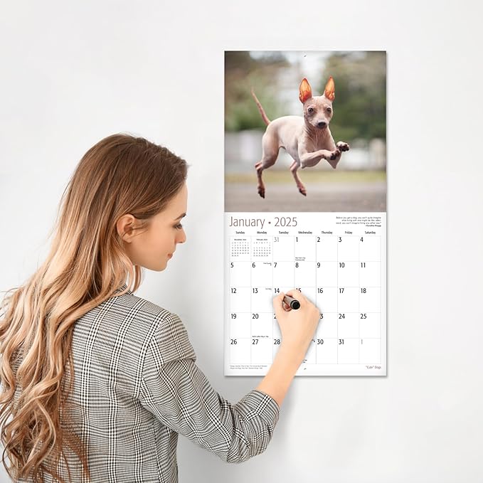 RED EMBER "Cute" Dogs 2025 Wall Calendar 12 Month | 12" x 24" Open | Thick & Sturdy Paper | Giftable | Calendar 2025