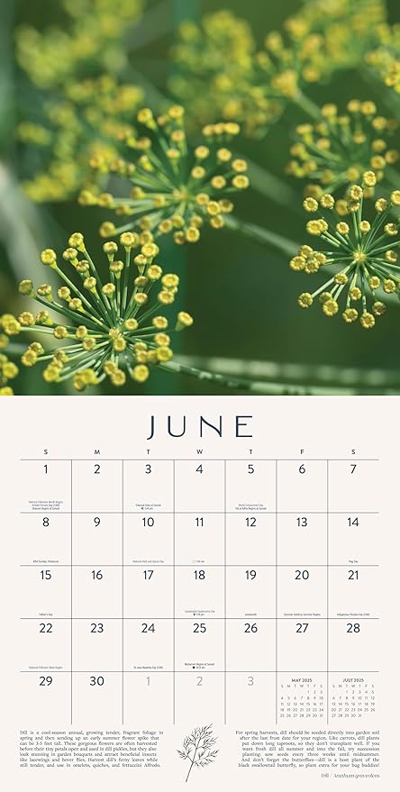 Herb Gardens Calendar 2025 | 12" x 24" Herbal Wall Calendar 12 Month | Marble City Press | Advice for Year Round Growing, Garden and Herbalist Tips Throughout | Super Foods, Home Gardening