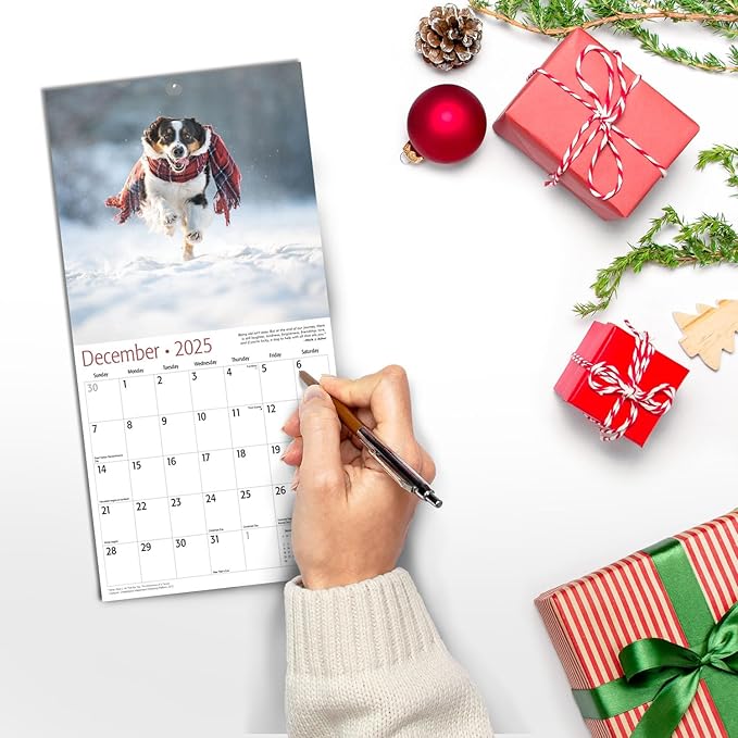 RED EMBER Australian Shepherds Mini 2025 Wall Calendar 12 Month | 7" x 14" Open | Thick & Sturdy Paper | Giftable | Calendar 2025