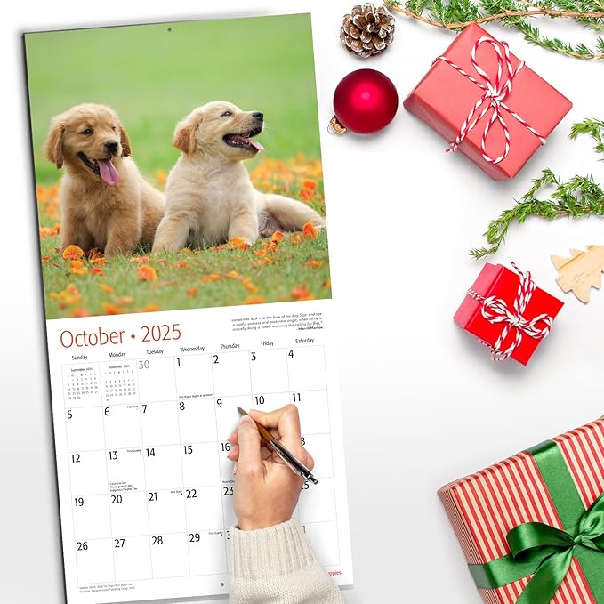 RED EMBER Golden Retriever Puppies 2025 Wall Calendar 12 Month | 12" x 24" Open | Thick & Sturdy Paper | Giftable | Calendar 2025