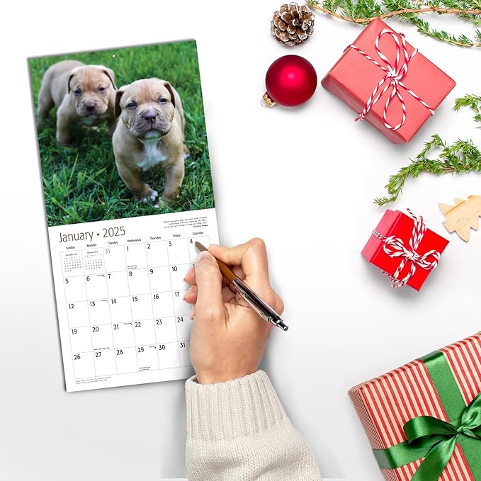 RED EMBER Pit Bull Puppies Mini 2025 Wall Calendar 12 Month | 7" x 14" Open | Thick & Sturdy Paper | Giftable | Calendar 2025
