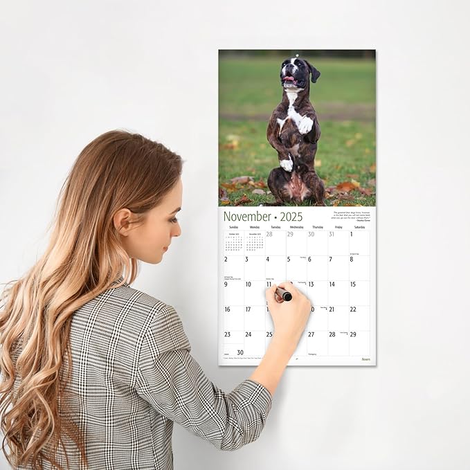 RED EMBER Boxers 2025 Wall Calendar 12 Month | 12" x 24" Open | Thick & Sturdy Paper | Giftable | Calendar 2025